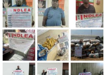 NDLEA Intercepts Christmas Colorado, Cannabis Juice Consignments At Lagos Airport, Seaport