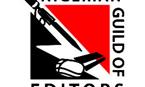 Arise News/ThisDay /APC :  NGE, NUJ Insist On Free Press, Professionalism