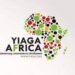2023 Election : Yiaga Africa Offers Technical Support To Young Candidates