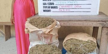 Grandma, Pregnant Woman In NDLEA’s Net For Drug Trafficking