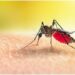 Nigeria, 3 Other African Nations Account For Half Of Global Malaria Deaths  – WHO