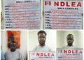 NDLEA Busts Trans-border Cartel, Arrests 5 Kingpins