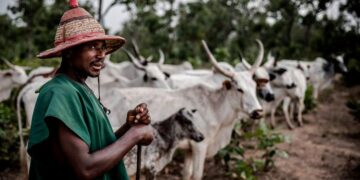 Emir Of Lafia Demands  Justice Over Killing Of 41 Herdsmen In Lafia