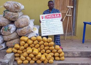 NDLEA Intercepts Cocaine, Heroin, Meth Consignments At Lagos Airport 