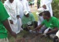 Catholic Bishops Conference To Plant 5.5m Trees