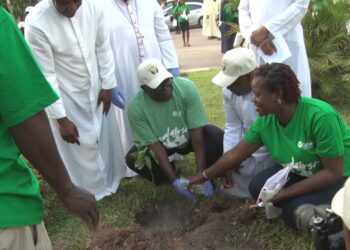 Catholic Bishops Conference To Plant 5.5m Trees