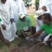 Catholic Bishops Conference To Plant 5.5m Trees