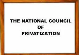 NCP Approves Concession Of Zungeru Hydroelectric Power Plant To MESL