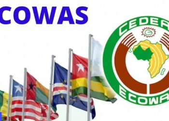 ECOWAS Observers Applaud Nigeria’s Elections, Says Generally Peaceful, Transparent