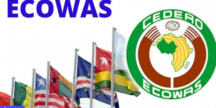 ECOWAS Observers Applaud Nigeria’s Elections, Says Generally Peaceful, Transparent