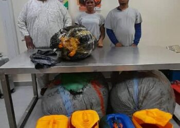 Church General Overseer, 2 Others In NDLEA Net Over Attempt To  Export Meth, Skunk To Dubai