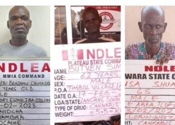 NDLEA Arrests 3 Grandfathers, Nigerien Over 52Kg Of Skunk, Cocaine