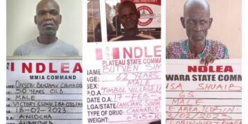 NDLEA Arrests 3 Grandfathers, Nigerien Over 52Kg Of Skunk, Cocaine