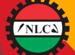 NLC Gives FG 7-Day Ultimatum To End Naira, Fuel Crises Or Face Strike Action
