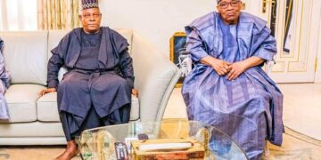 I Visited IBB, Abdulsalami To Seek Advice, Input On Issues Facing Nigeria – Shettina