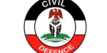 Bandits Kill 3 NSCDC Operatives In Imo
