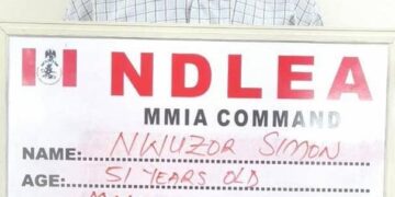 NDLEA Intercepts Cocaine, Meth In Transit To Vietnam, Brazil, Italy