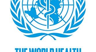 330 Dead After 6 Days Of Fighting In Sudan – WHO