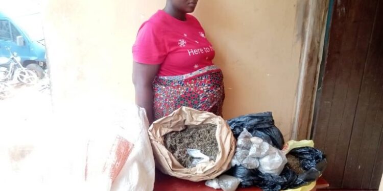 Pregnant Woman, Cripple, Poly Student In NDLEA Net For Drug Trafficking