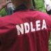 NDLEA Declares Prophetess Faith Ugochi, Celebrity Couple Wanted For Running Drug Cartel