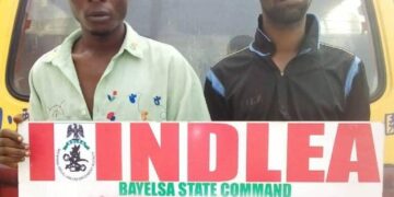 Illicit Drugs : NDLEA Nabs Notorious Drug Dealer, Cripple, 400-level Student