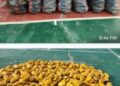Customs Intercepts Bus Carrying 553 Parcels Of Indian Hemp Worth N10mln