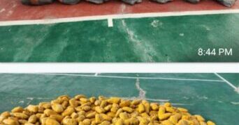 Customs Intercepts Bus Carrying 553 Parcels Of Indian Hemp Worth N10mln