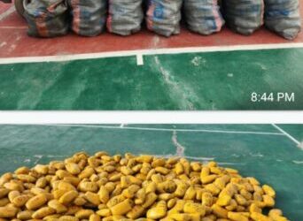 Customs Intercepts Bus Carrying 553 Parcels Of Indian Hemp Worth N10mln