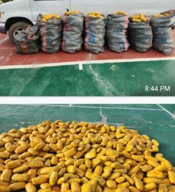 Customs Intercepts Bus Carrying 553 Parcels Of Indian Hemp Worth N10mln