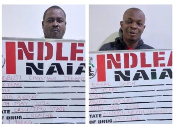 NDLEA Arrests 202 Drug Suspects In Kano, Abuja, Lagos
