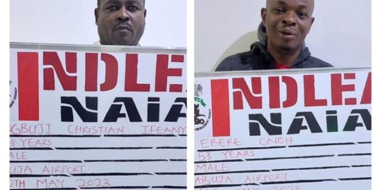 NDLEA Arrests 202 Drug Suspects In Kano, Abuja, Lagos