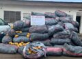 In Lagos, NDLEA Operatives Battle Gunmen To Recover 8,853kg Drug Consignments