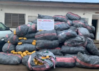 In Lagos, NDLEA Operatives Battle Gunmen To Recover 8,853kg Drug Consignments