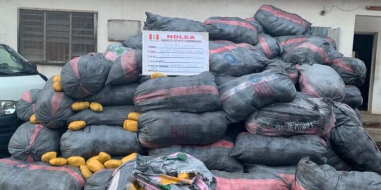 In Lagos, NDLEA Operatives Battle Gunmen To Recover 8,853kg Drug Consignments