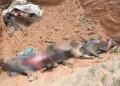 Suspected Fulani Herdsmen Kill ECWA Pastor, 37 Others In Nasarawa