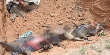 Suspected Fulani Herdsmen Kill ECWA Pastor, 37 Others In Nasarawa