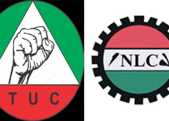 I will Give You A Living Wage To Have A Decent Life, Tinubu Promises Workers