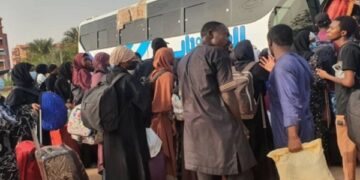 Sudan : Relief As Egyptian Authorities Open Border For Evacuation Of Nigerians