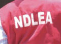 NDLEA Arrests 1,064 Suspects, Seizes 7,530.813kg Of Drugs, Secures 111 Convictions In Kano