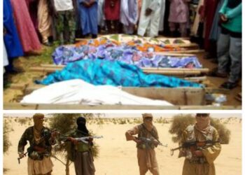 Terrorists Kill Kaduna Traditional Ruler, His 4 Sons, Rustle 100 Cows