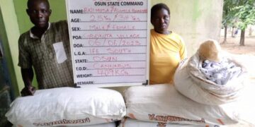 NDLEA Discovers Meth Lab in Mende, Lagos residential Area