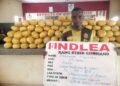 NDLEA Discovers, Destroys Wharehouse, 3,003Kg Illicit Drugs In Edo Forest