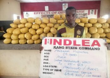 NDLEA Discovers, Destroys Wharehouse, 3,003Kg Illicit Drugs In Edo Forest