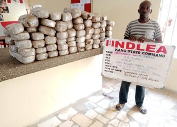 NDLEA Intercepts Cyprus-Bound 7.2 kg Meth Concealed In Crayfish Sack, Arrests 19yr-old Suspect