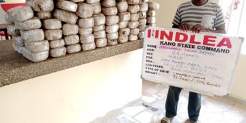 NDLEA Intercepts Cyprus-Bound 7.2 kg Meth Concealed In Crayfish Sack, Arrests 19yr-old Suspect