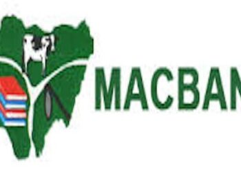 15 Bodies Recovered, 78 Houses Burnt, 2,000 Cows Missing In Plateau — MACBAN