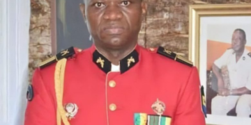 Col. Brice Nguema Is New Gabonese Leader, Replaces Ali Bong