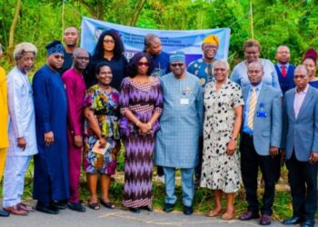 NIDCOM, UI Sign MoU To Establish First African Diaspora Resource Centre