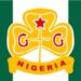 Centenary : Girl Guides To Train 300 Women In Vocational Skills