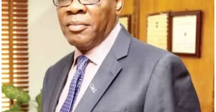 Agbakoba Tasks Fagbemi On Police, EFCC, ICPC, Judiciary Reforms